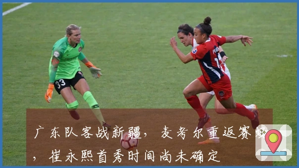 广东队客战新疆，麦考尔重返赛场，崔永熙首秀时间尚未确定
